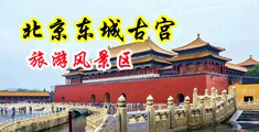 国产后入嫩逼中国北京-东城古宫旅游风景区